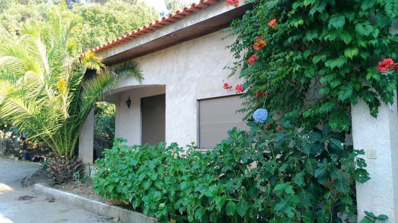 Casa Deus Villa Sabrosa Eksteriør billede